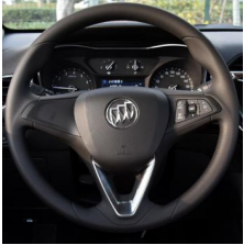 BUICK 13 Steering Wheel Cover