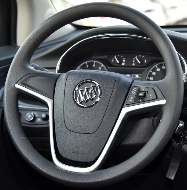 BUICK 01 Steering wheel cover
